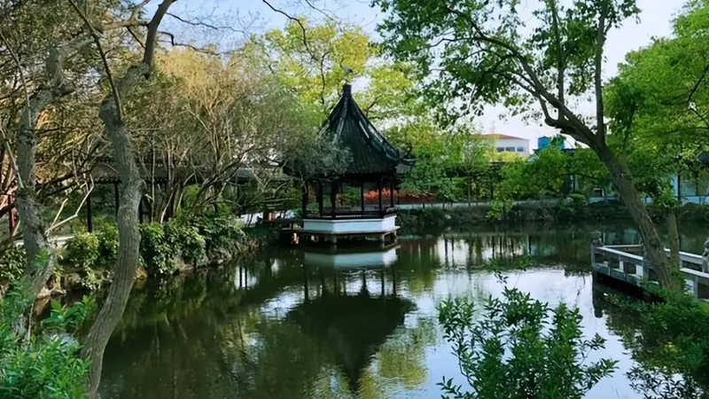 松江深巷藏千年古园 醉白池里邂逅上海温柔时光