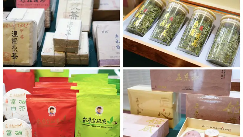陕茶新疆行:产销对接共拓市场新机遇