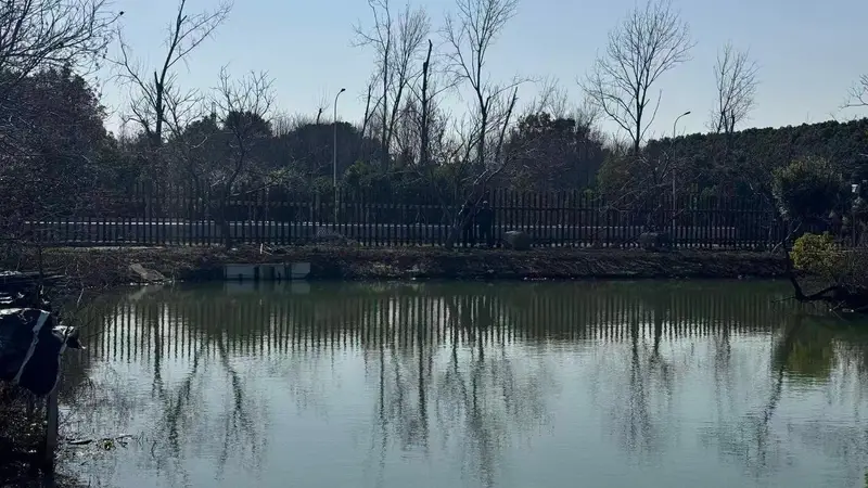 江南山野本味，虞山山泉活水养出的自然鲜感