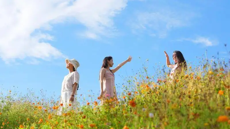 成都兴隆湖：湖畔花海与城市天际线同框引游人