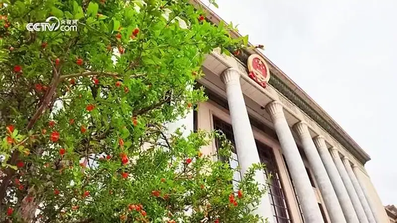 时政微视频｜跨越山海的“北京时间”——2026年上半年中国元首外交纪事