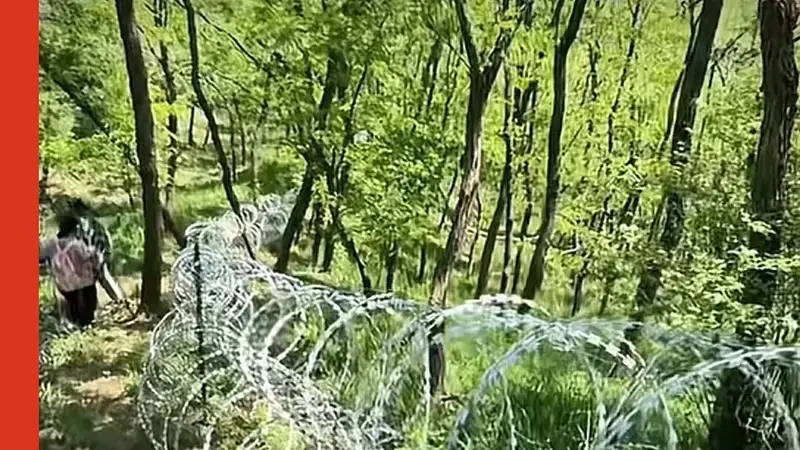 刀片铁丝网围泰山，错哪儿了？