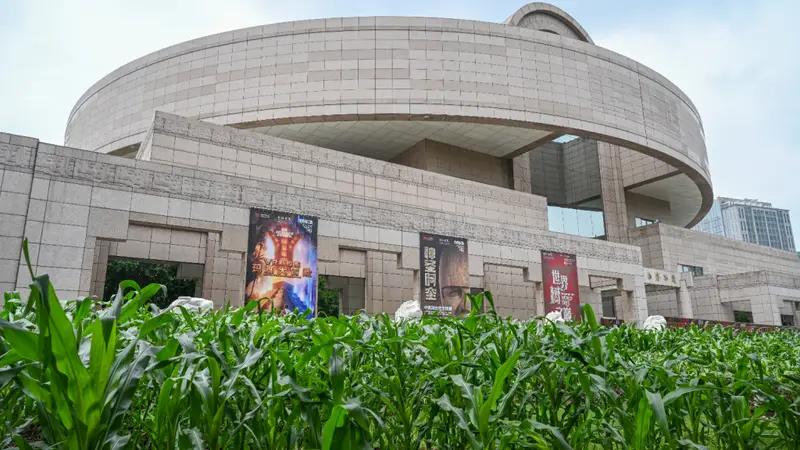 魔都眼｜从玉米地到世界树：上博新展以宇宙观串联三千年美洲文明