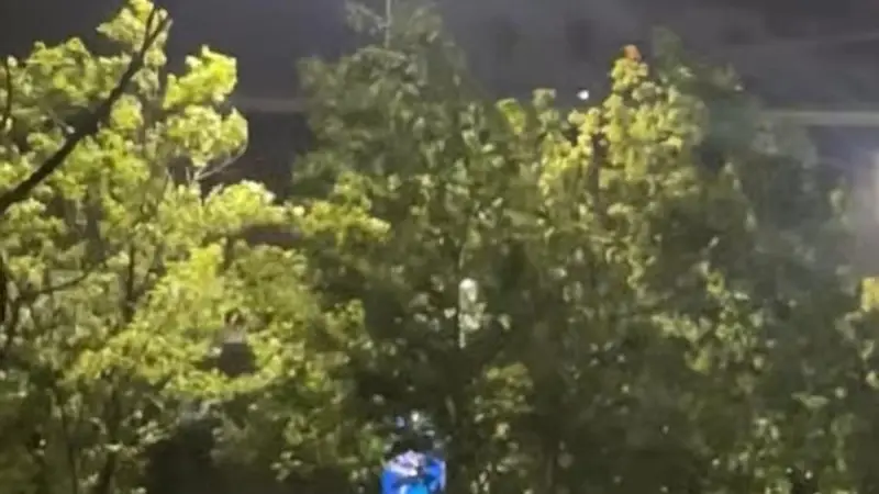 台风“巴威”已在浙江登陆 中心附近最大风力13级