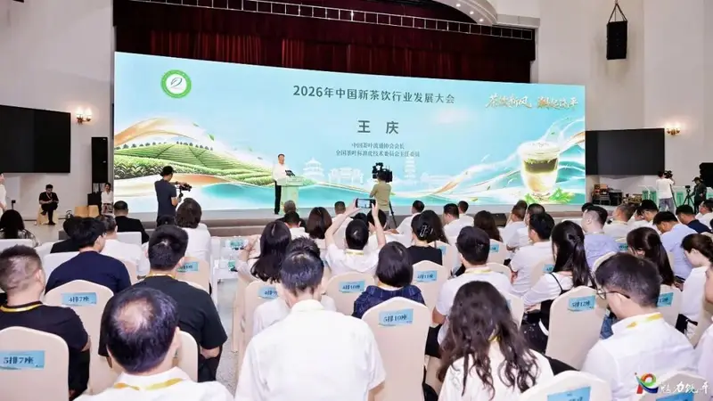 借力全国新茶饮盛会,饶平单丛茶谋定标准化与供应链转型新路径
