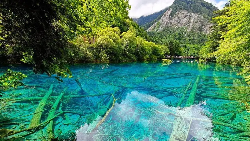九寨沟湖水染色谣言为何反复？专家：景区热度催生谣言，应理性甄别