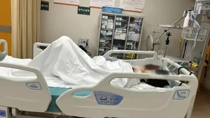 上海反虐猫志愿者遭网暴“开盒”、造黄谣后轻生，经抢救已脱险，家属将协助她依法维权