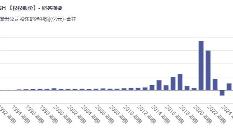百亿控制权之争，遗孀与长子双双出局，杉杉股份给家族企业上了一课