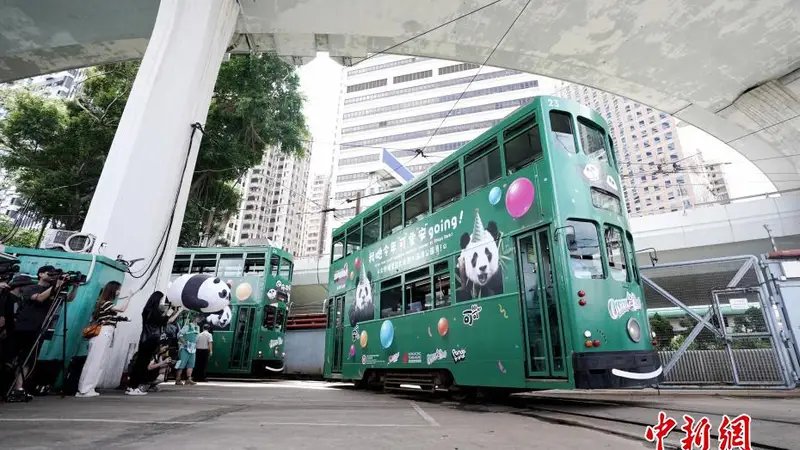 大熊猫生日主题电车巡游香港岛