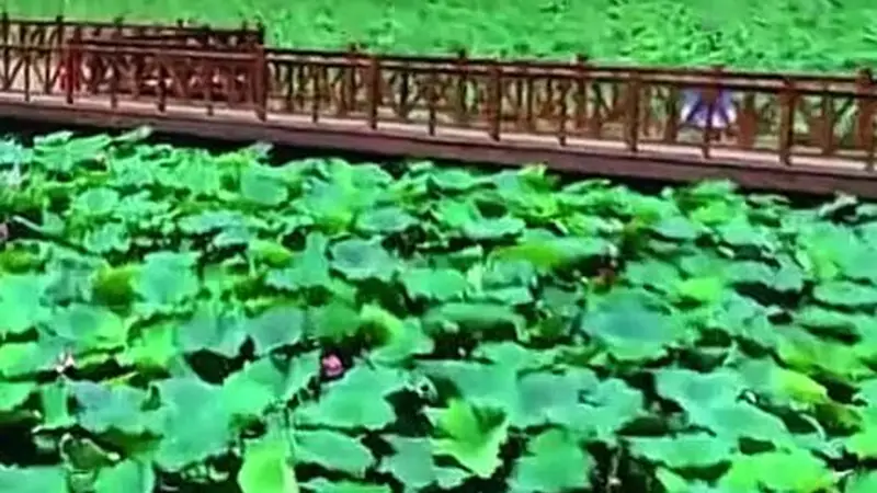 壹视界·知行记|一淀清波映“未来”