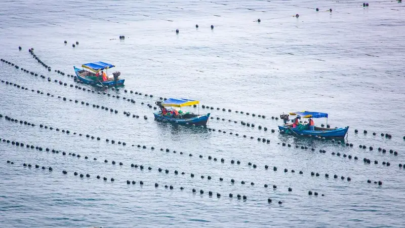 北纬39度的清爽：长海县海岛避暑指南