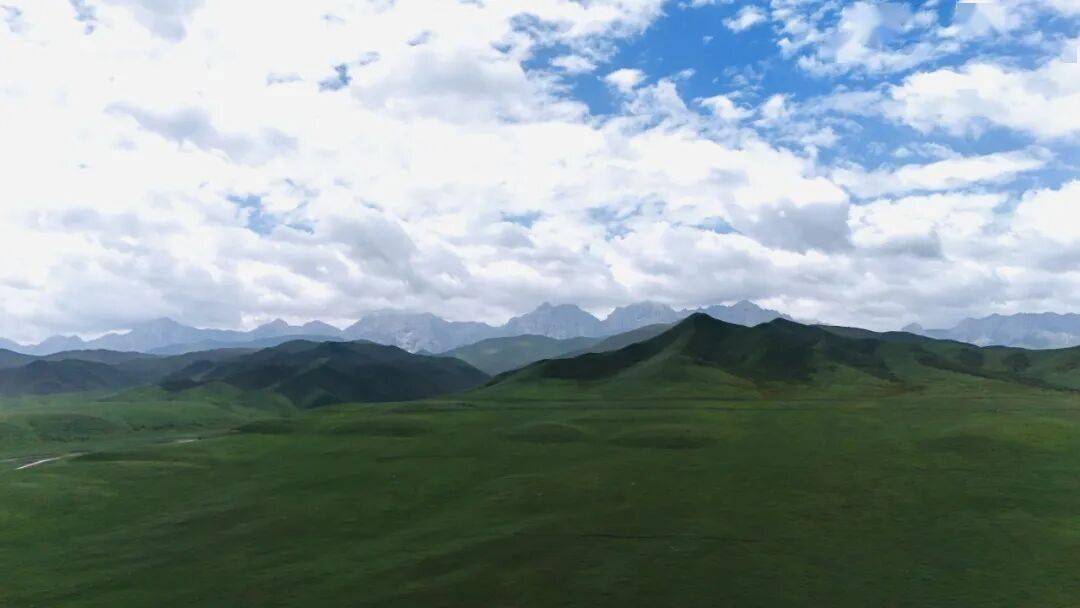 考进“最吃香专业”的大学生：当兵，保研，或者进了法院