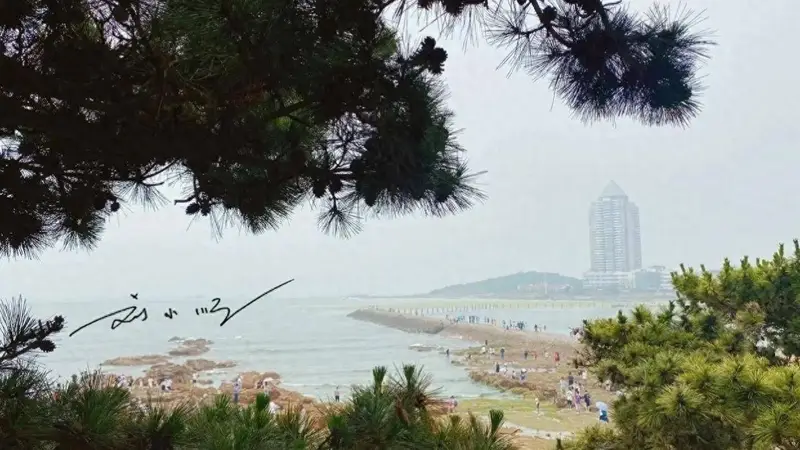 齐鲁古城文脉里的青岛:海滨风物里藏着文艺韵致 海洋产业绘就发展新篇