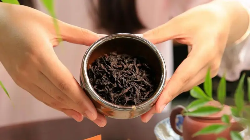 曦瓜大红袍：岩茶也分清香型和浓香型？分析岩茶的品种与香型