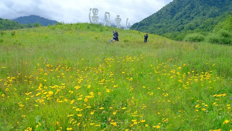 四川石棉:摄影基地百花开,避暑拍照两相宜!