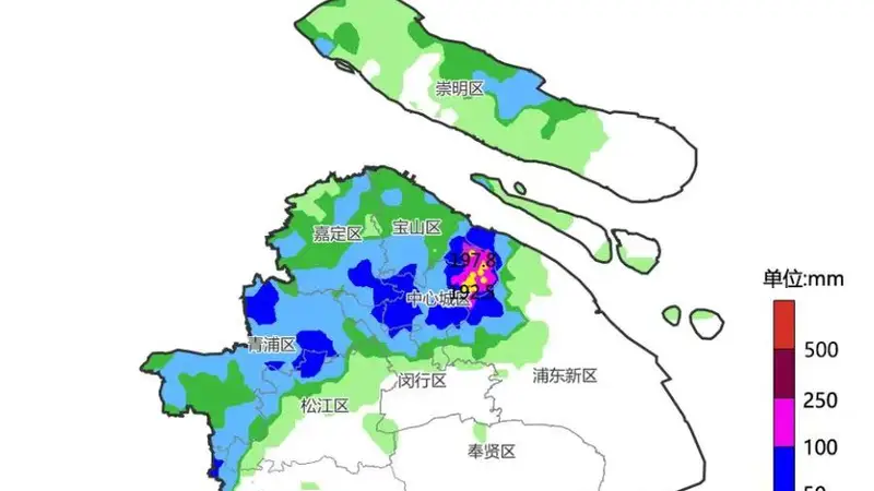 上海强降雨致复旦大学多处严重积水,校方:目前校园通行已恢复正常