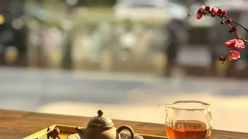 懂茶之人,日子自饶有滋味