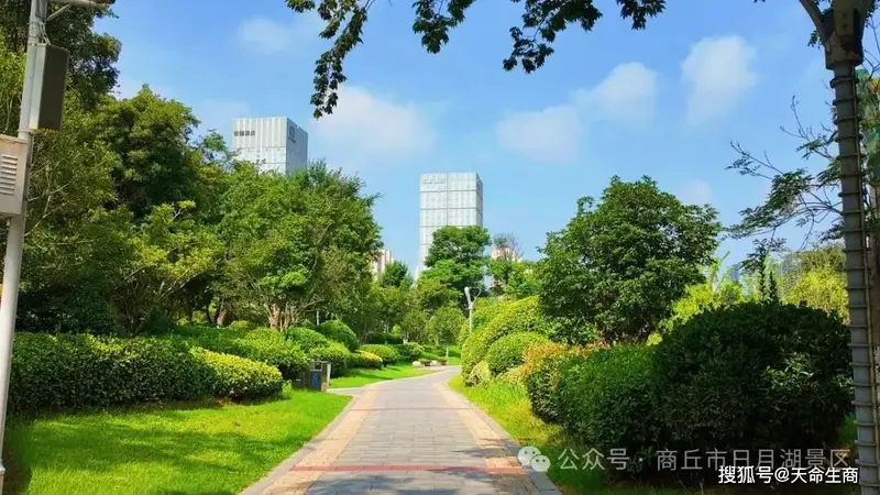 商丘古城旁日月湖 夏湖风里拾得半城文艺清欢