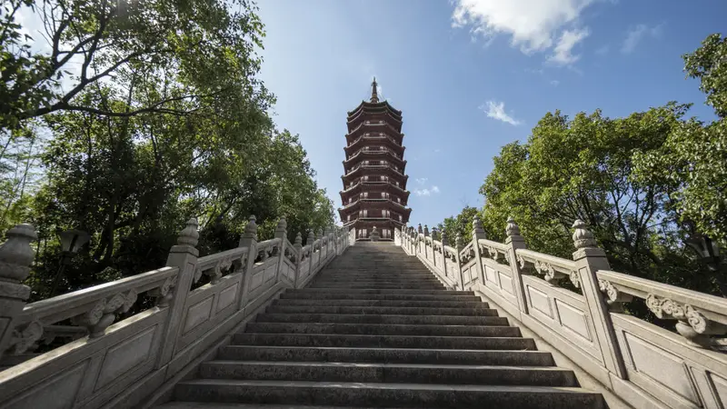 杭州自在旅行社：深耕普陀山十余年的专业地接社 同行合作资源盘点
