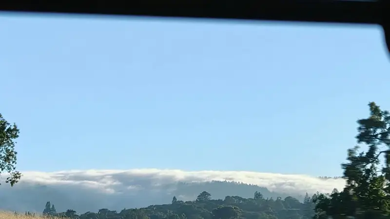 横跨加州西海岸的自然美景：从洛杉矶到旧金山之旅
