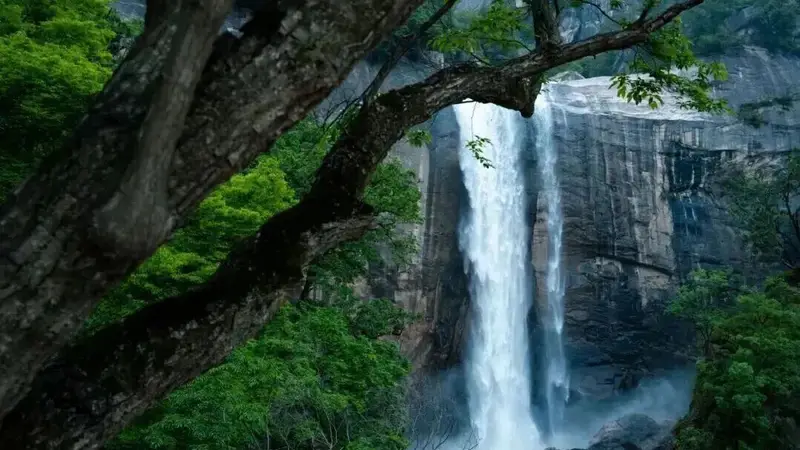 在洛阳,你的旅行人格是——
