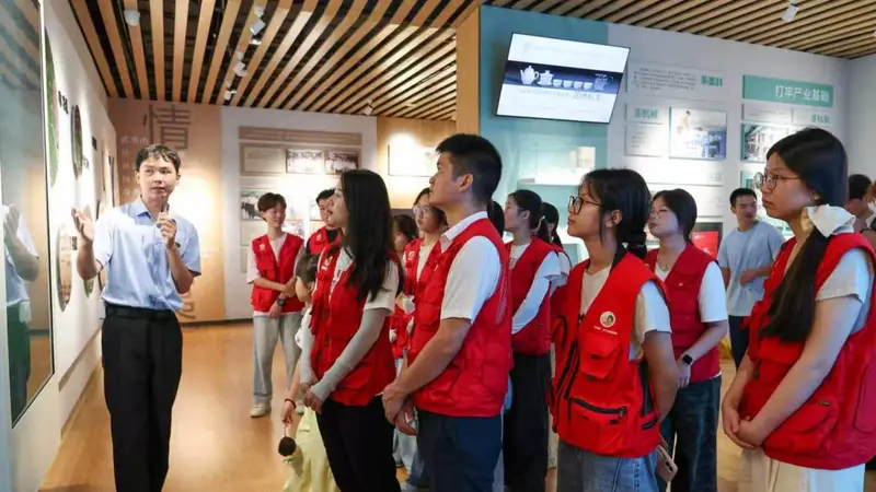 福建茶旅融合:高校学子沉浸式研学体验茶文化魅力