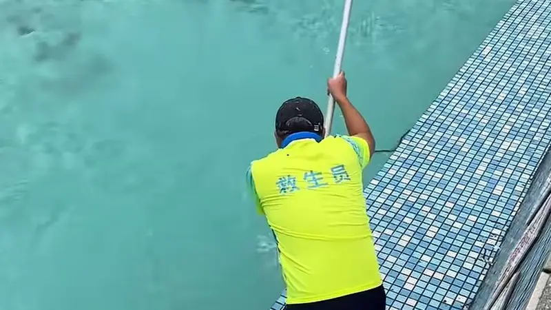 广东一景区泳池惊现游蛇，目击者称在户外很正常，景区回应：无人受伤，系无毒蛇已处理