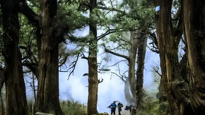 古道新韵绵延千里,公路画卷风光无限