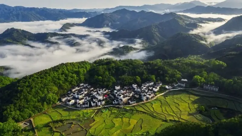 第61项,为什么在景德镇?