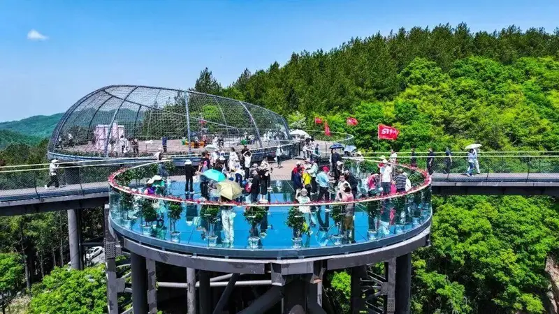 四川达州宣汉月亮坪 21℃凉夏里的巴山林海文艺消夏时光
