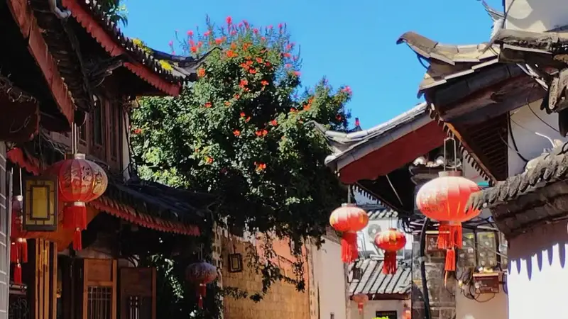 暑期古城漫行 丽江文艺情侣清凉避暑指南