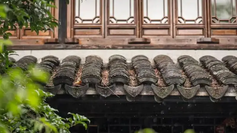 暑气蒸腾，不如来这里解锁江南盛夏的风雅诗意
