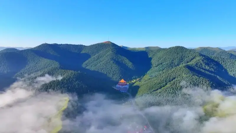在雪域羚城，找到了夏天最美的模样