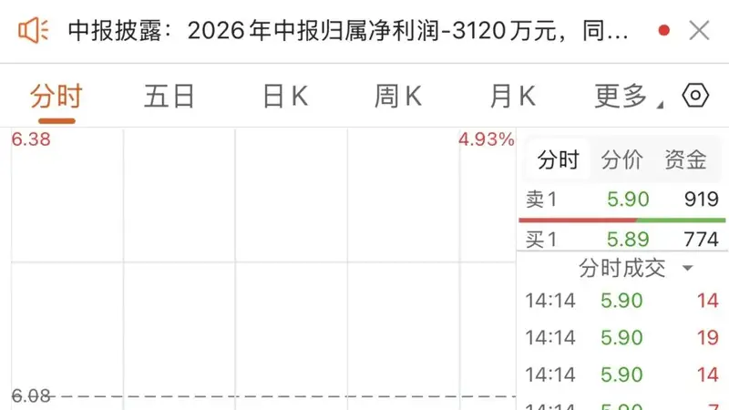 半年报亏损扩大,牛散逆势买入国投丰乐