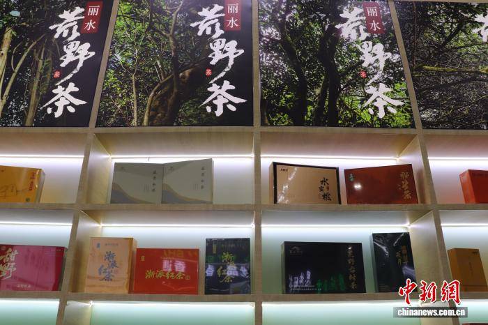 追寻“野”的智慧：浙江人与自然共生“金”