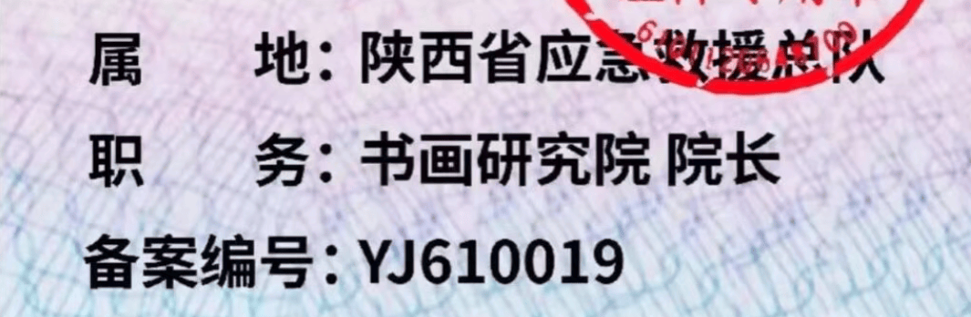 “国际应急救援中心陕西总队”被取缔，曾下设书画研究院