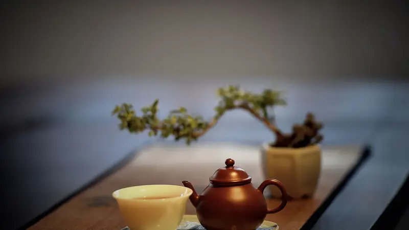 一茶一世界：品人生之苦，盼回甘之甜