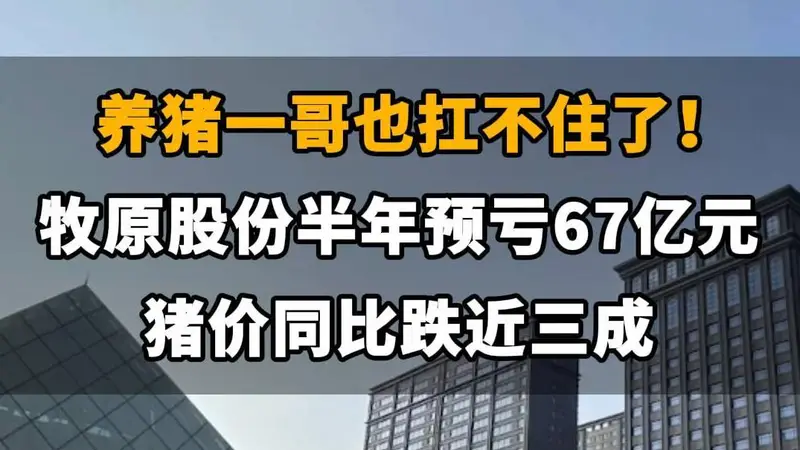 【养猪一哥也扛不住了！牧原股份半年亏掉67亿元，猪价同比跌近三成】