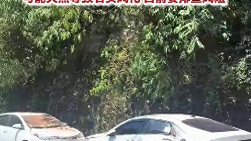 贵州赤水丹霞大瀑布景区发生山体落石 游客受伤车辆被砸