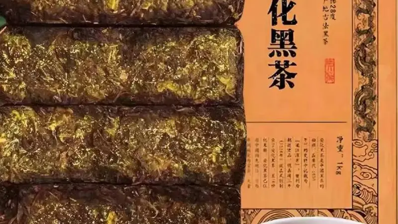 “黑茶金花之父”刘仲华院士:重构中国茶的全球坐标