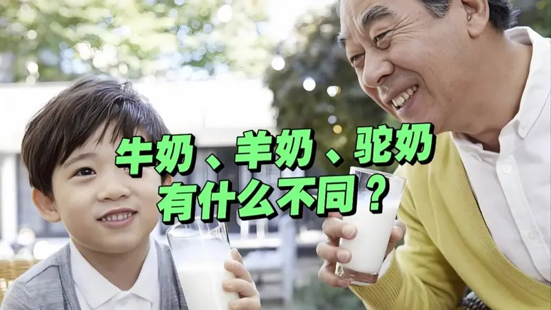 牛奶、羊奶、骆驼奶，到底哪种营养更高？
