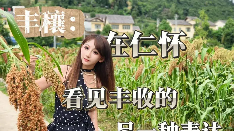 丰穰：在仁怀，看见丰收的另一种表达