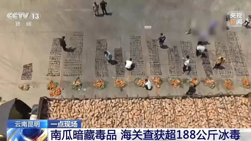 南瓜暗藏毒品，昆明海关查获超188公斤冰毒