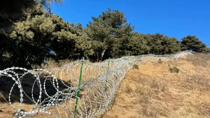 泰山建“刀片刺绳铁丝网”引关注，景区回应