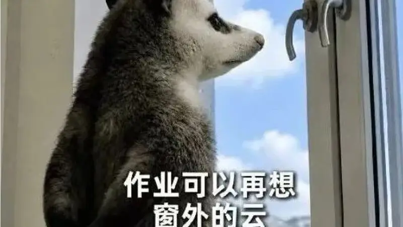 美院给新生的这份假期速写作业，藏着古城文艺里的大学成长序章