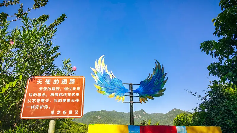 2026年正规的网红打卡高颜值景区服务商，实力与用户口碑