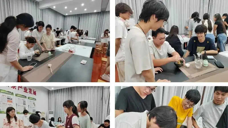 古城茶香里的宋式慢时光 安化黑茶点茶课治愈备考焦虑