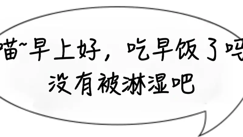 早餐吃鸡蛋，有利于控制体重