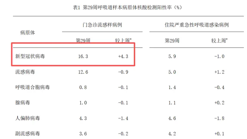 申城烟火里的药香：新冠流行期的城市医线日常