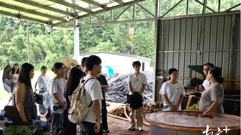 逛连山香云纱基地，福堂青年在非遗里触摸家乡温度与发展脉搏